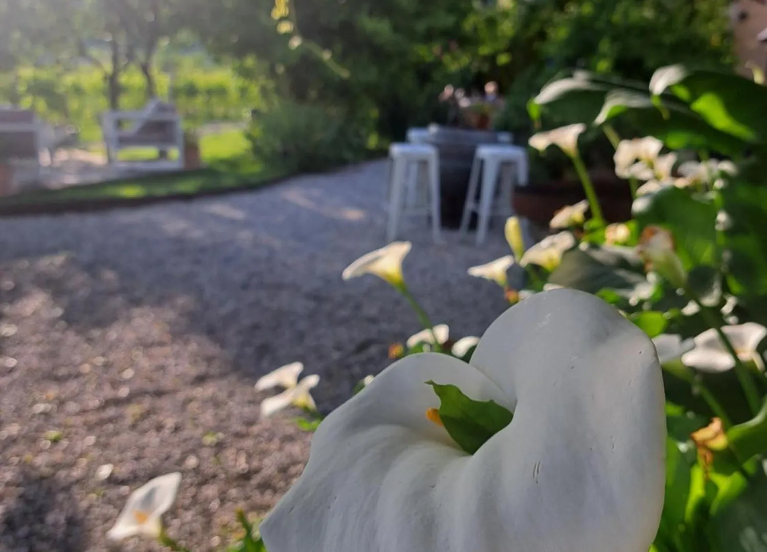 Farm stay Casadesergio Refrontolo