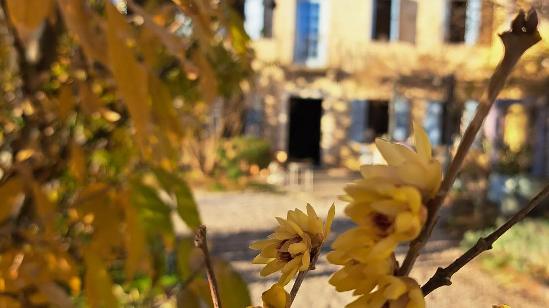 Farm stay Casadesergio Refrontolo