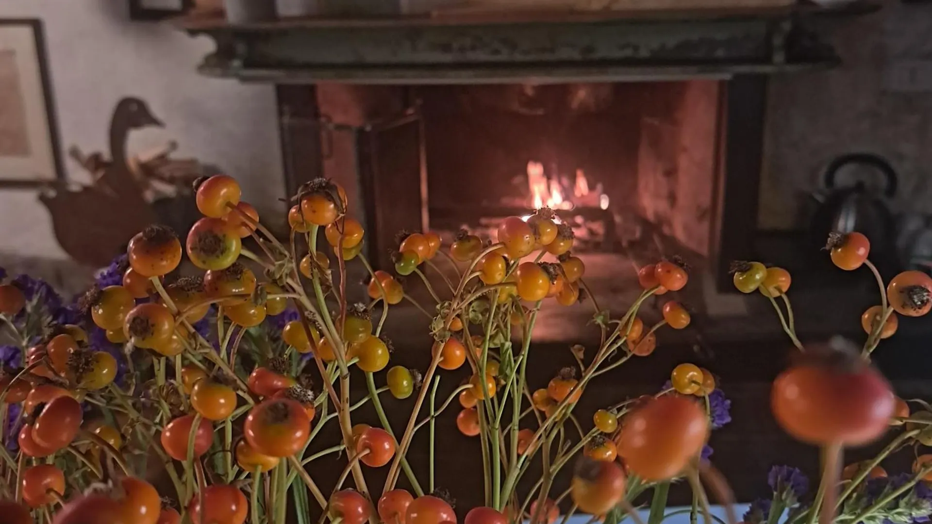 Casadesergio Refrontolo Farm stay