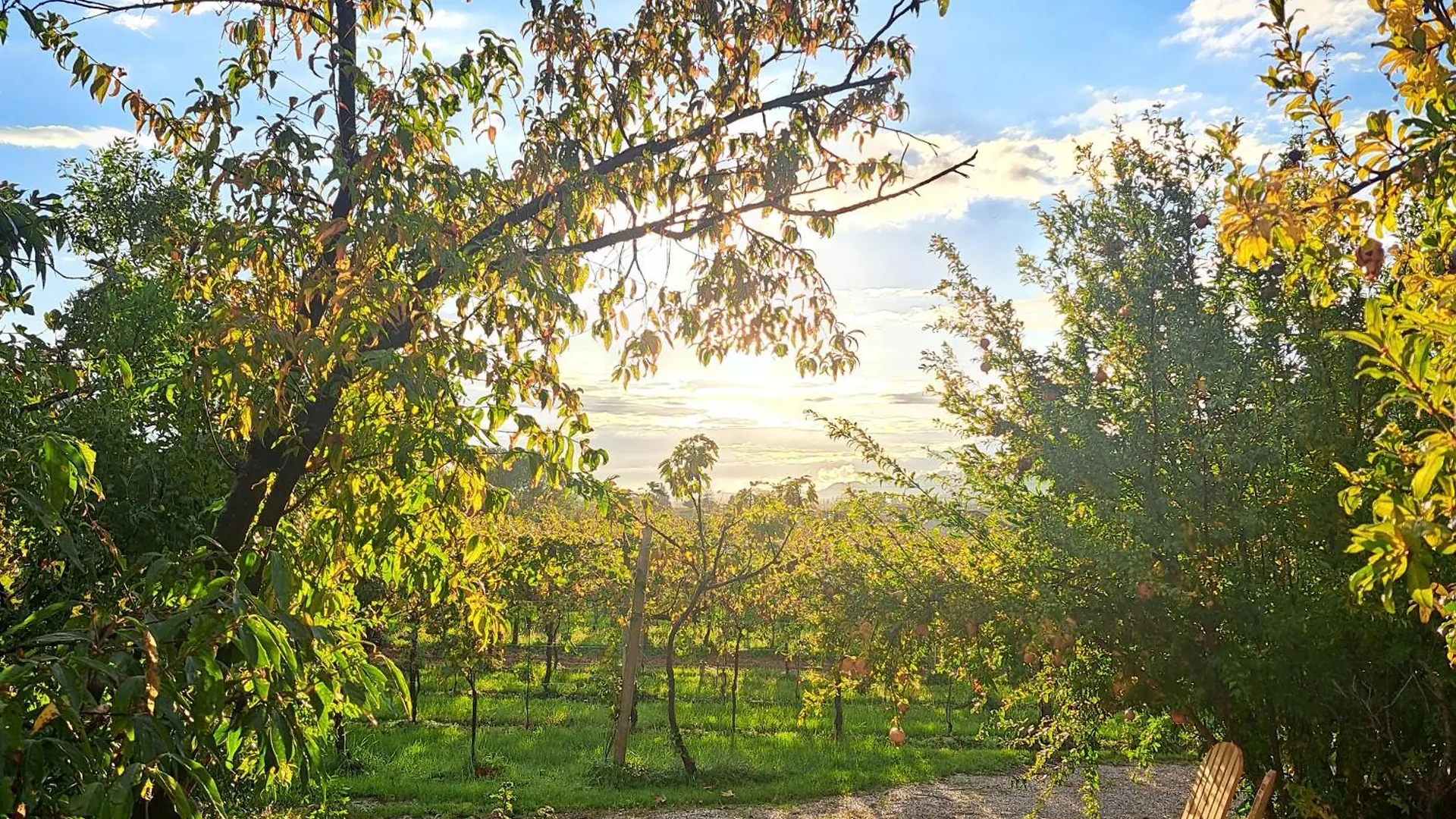 Casadesergio Refrontolo Farm stay