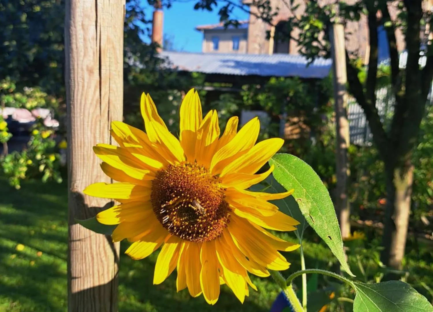 Casadesergio Refrontolo Farm stay