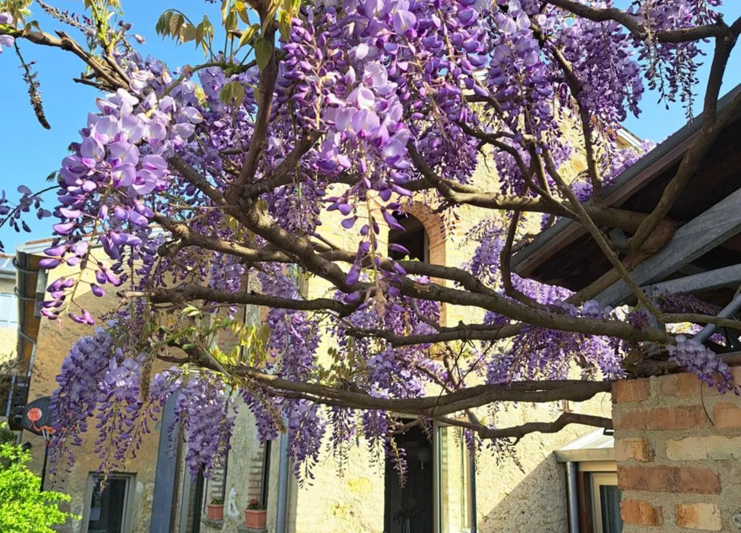 Farm stay Casadesergio Refrontolo