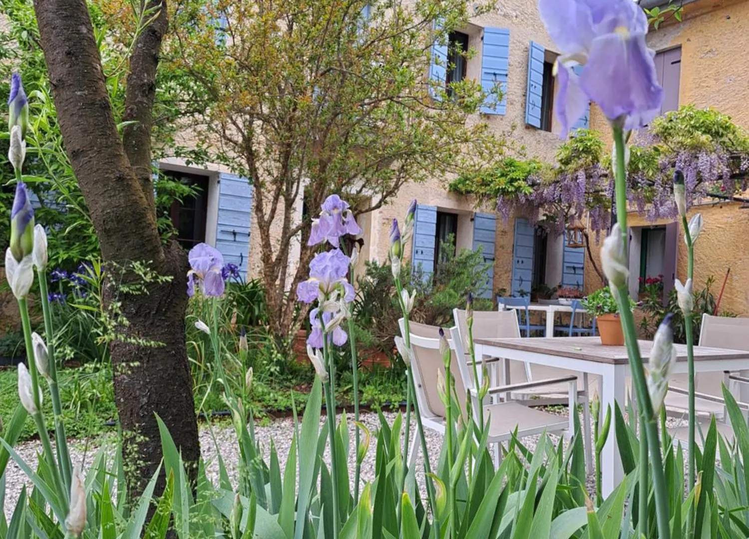 Farm stay Casadesergio Refrontolo Italy