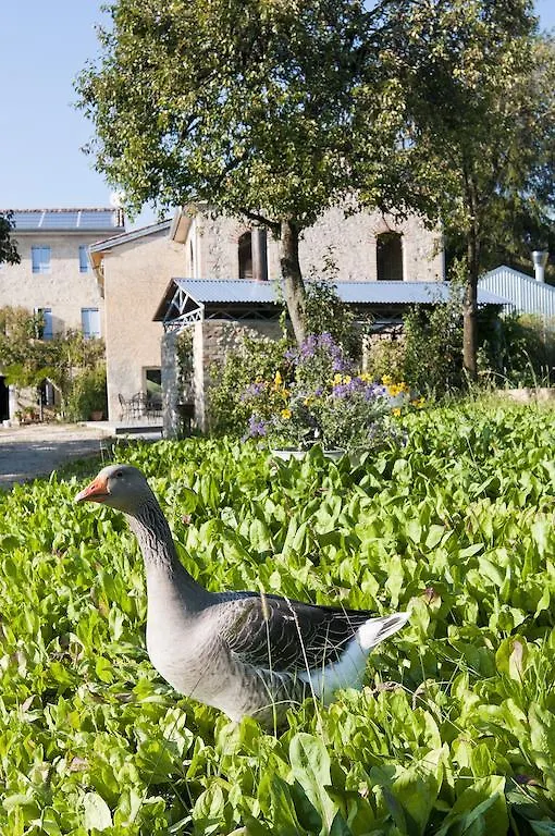 Casadesergio Refrontolo Farma